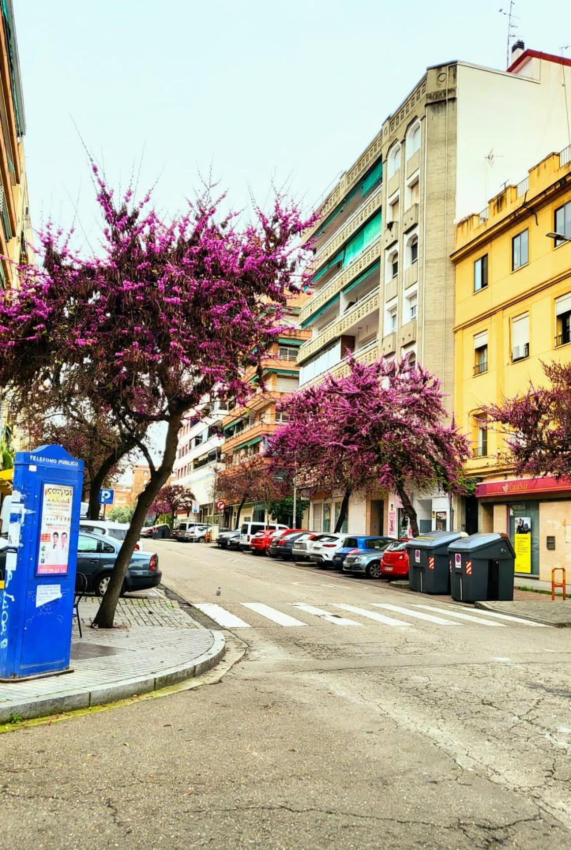 Vintage Apartment Cordova Esterno foto
